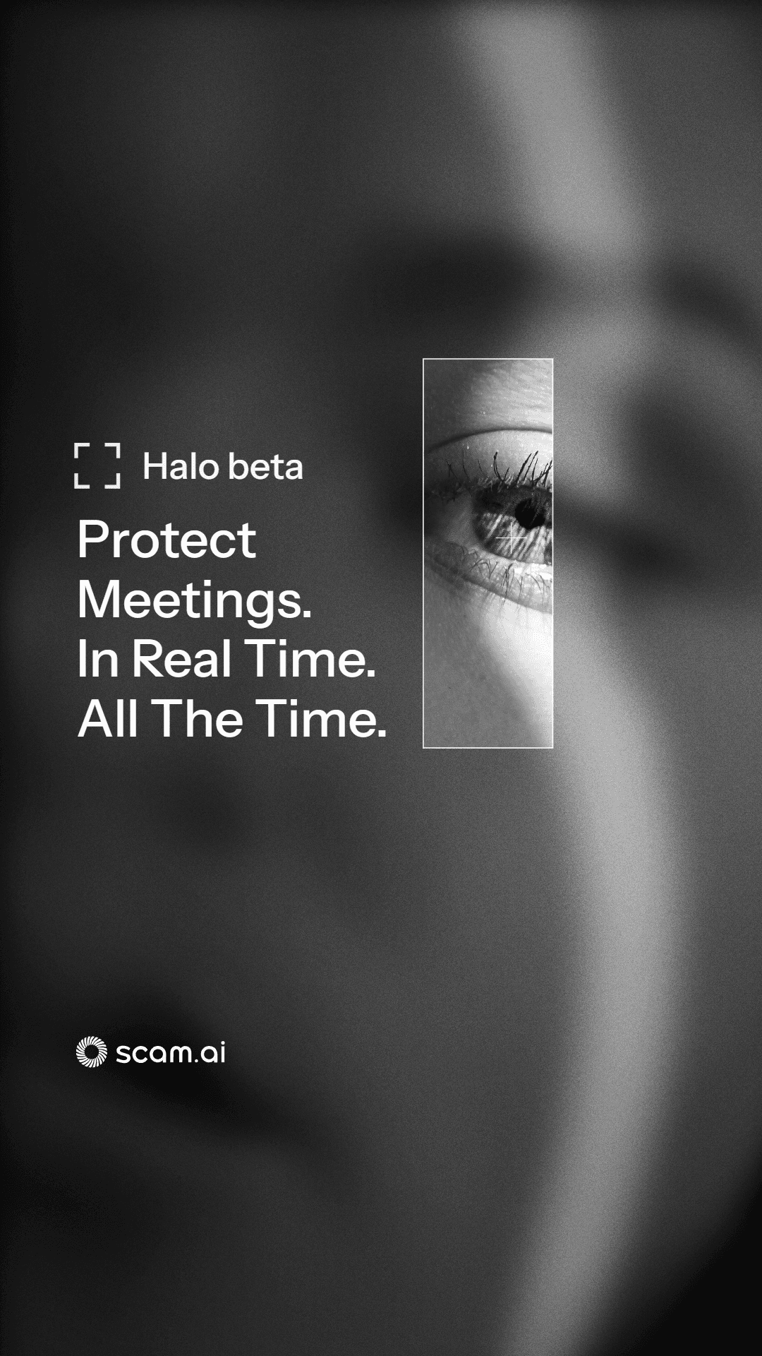 Halo beta — Protect Meetings in Real Time