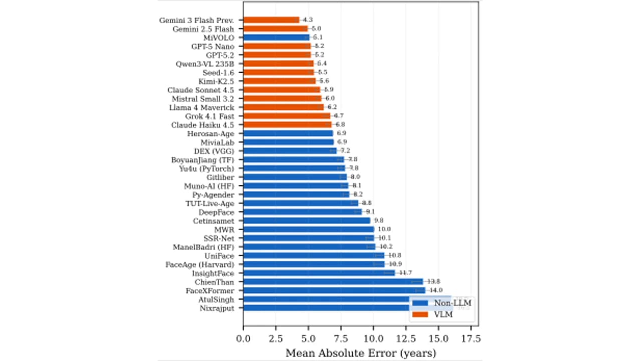 Diverse faces evaluated through age-estimation models