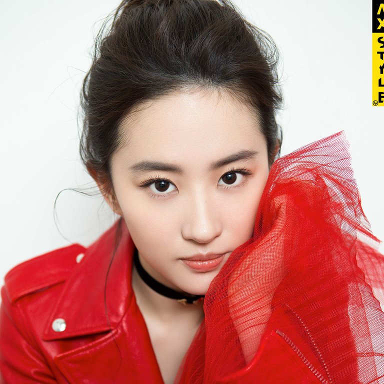 Public figure portrait